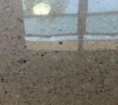 Terrazzo Polished